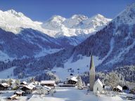 Ferienwohnung Kleinwalsertal Sonnenhut-26