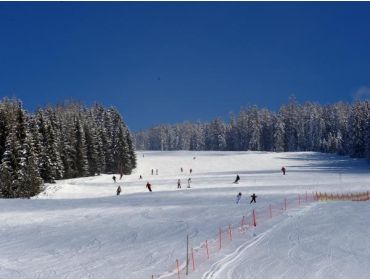 Skidorf Kleines, ruhiges Skidorf nahe mehreren Skigebieten-2