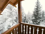 Ferienhaus De Vallandry Typ 2, Le Sabot de Venus-18