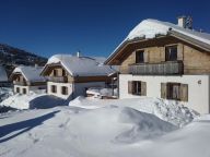 Ferienhaus Almdorf Katschberg Almdorf-17