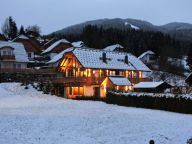 Ferienhaus Alpinn Wellness-27