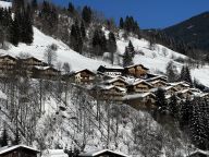 Ferienwohnung AlpenParks Rehrenberg Alpine-21