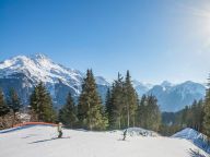 Ferienwohnung Les Alpages de Champagny-27