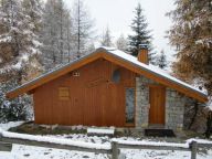 Ferienhaus De Vallandry Typ 2, Le Sabot de Venus-17