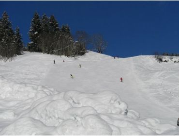 Skidorf Kleines Bergdorf nahe Saalbach-3
